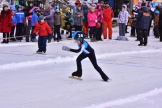 skoblikova (36)